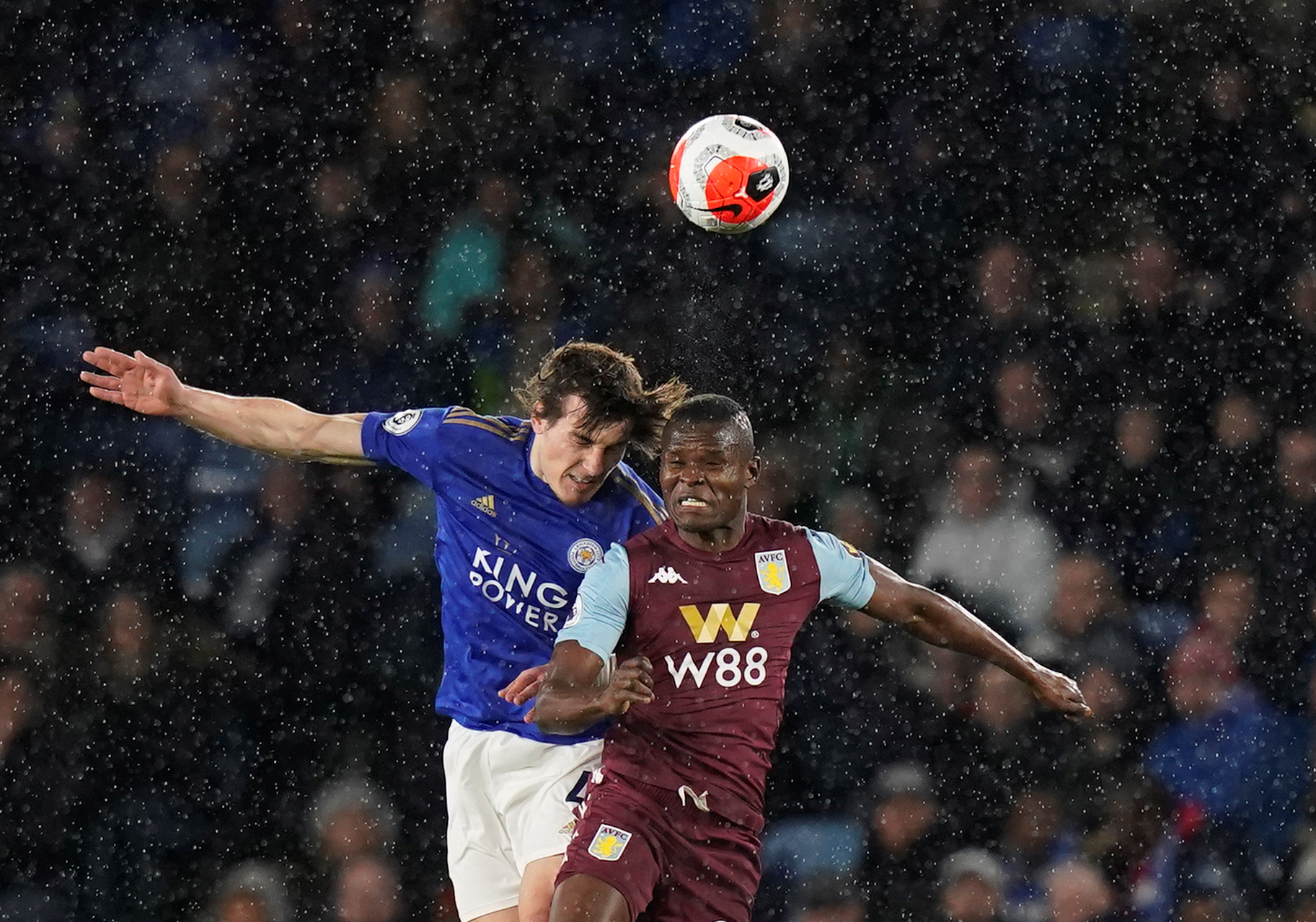 尔所提供的 尔所提供的